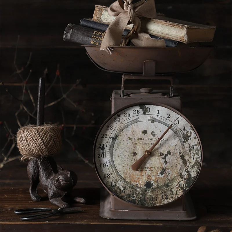 Échelle Vintage pour le style  - Photography Vintage Style avis et prix
