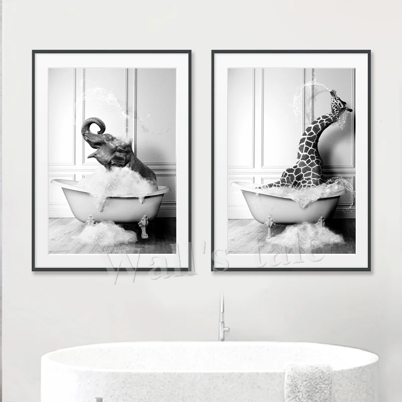 Animaux noir et blanc salle de - Photography Duck avis et prix